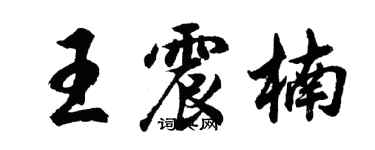 胡問遂王震楠行書個性簽名怎么寫