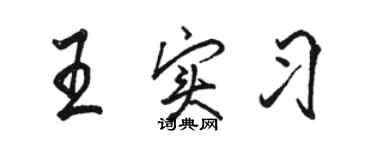 駱恆光王實習行書個性簽名怎么寫