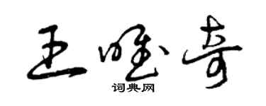 曾慶福王唯奇草書個性簽名怎么寫