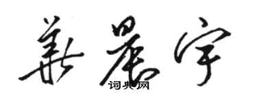 駱恆光華晨宇草書個性簽名怎么寫