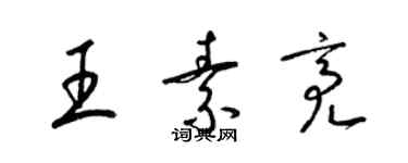 梁錦英王素亮草書個性簽名怎么寫