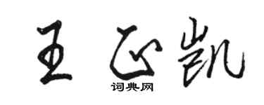駱恆光王正凱行書個性簽名怎么寫