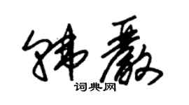 朱錫榮韓嚴草書個性簽名怎么寫