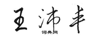 駱恆光王沛豐行書個性簽名怎么寫