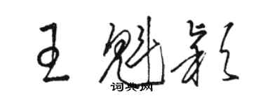 駱恆光王魁穎草書個性簽名怎么寫