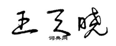 曾慶福王天曉草書個性簽名怎么寫