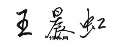 駱恆光王晨虹行書個性簽名怎么寫