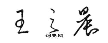 駱恆光王之晨草書個性簽名怎么寫