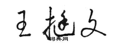 駱恆光王挺文草書個性簽名怎么寫