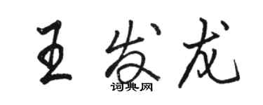 駱恆光王發龍行書個性簽名怎么寫