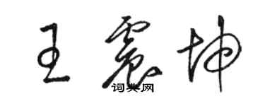 駱恆光王震坤草書個性簽名怎么寫