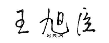 駱恆光王旭臣草書個性簽名怎么寫