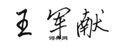 駱恆光王軍獻行書個性簽名怎么寫