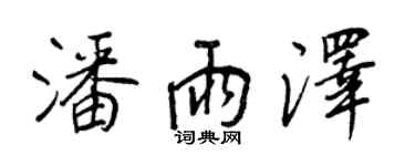 王正良潘雨澤行書個性簽名怎么寫