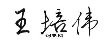 駱恆光王培偉行書個性簽名怎么寫