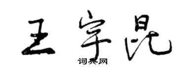 曾慶福王宇昆行書個性簽名怎么寫