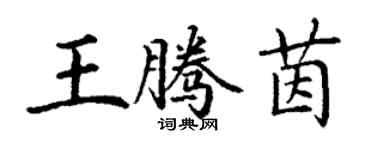 丁謙王騰茵楷書個性簽名怎么寫