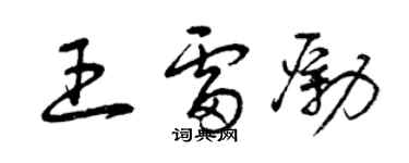 曾慶福王雷勵草書個性簽名怎么寫