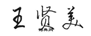 駱恆光王賢美行書個性簽名怎么寫