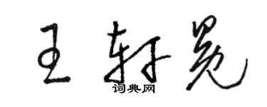 駱恆光王軒冕草書個性簽名怎么寫