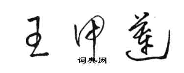 駱恆光王甲蓮草書個性簽名怎么寫