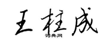 王正良王柱成行書個性簽名怎么寫