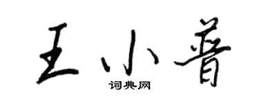 王正良王小普行書個性簽名怎么寫