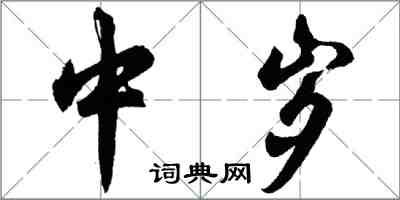 胡問遂中歲行書怎么寫