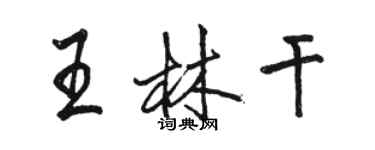 駱恆光王林乾行書個性簽名怎么寫