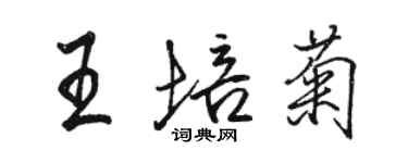 駱恆光王培菊行書個性簽名怎么寫