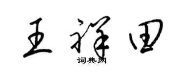 梁錦英王祥田草書個性簽名怎么寫