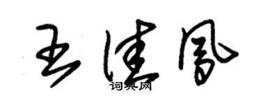 朱錫榮王佳鳳草書個性簽名怎么寫