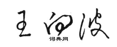 駱恆光王向波草書個性簽名怎么寫