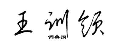 梁錦英王訓領草書個性簽名怎么寫