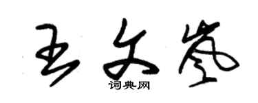 朱錫榮王文嵐草書個性簽名怎么寫