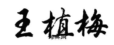 胡問遂王植梅行書個性簽名怎么寫