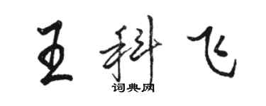 駱恆光王科飛行書個性簽名怎么寫