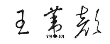 駱恆光王葦顏草書個性簽名怎么寫