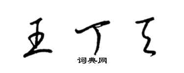 梁錦英王丁天草書個性簽名怎么寫