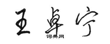 駱恆光王卓寧行書個性簽名怎么寫