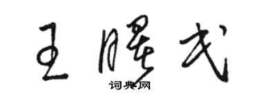 駱恆光王曙民草書個性簽名怎么寫