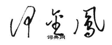 駱恆光何金鳳草書個性簽名怎么寫