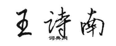 駱恆光王詩南行書個性簽名怎么寫