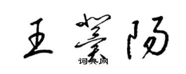 梁錦英王冀陽草書個性簽名怎么寫