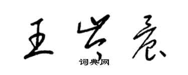 梁錦英王岑晨草書個性簽名怎么寫