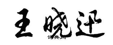 胡問遂王曉迅行書個性簽名怎么寫