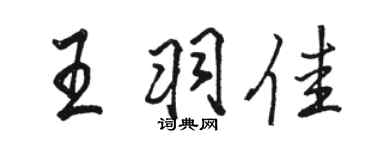 駱恆光王羽佳行書個性簽名怎么寫