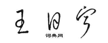 駱恆光王日寧草書個性簽名怎么寫