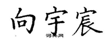 丁謙向宇宸楷書個性簽名怎么寫