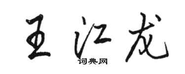駱恆光王江龍行書個性簽名怎么寫